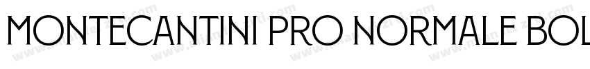 Montecantini Pro Normale Bold字体转换